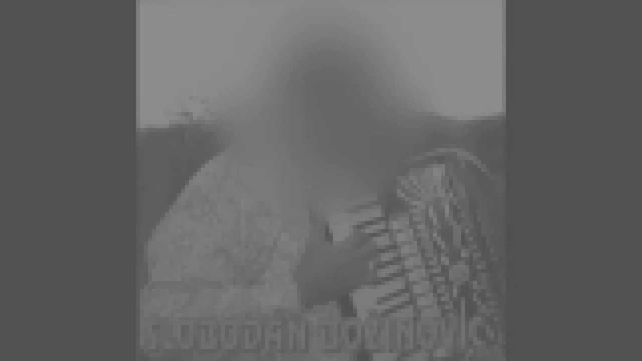 Velizar Matusic - Ranovacko kolo (cover bas,kontra)