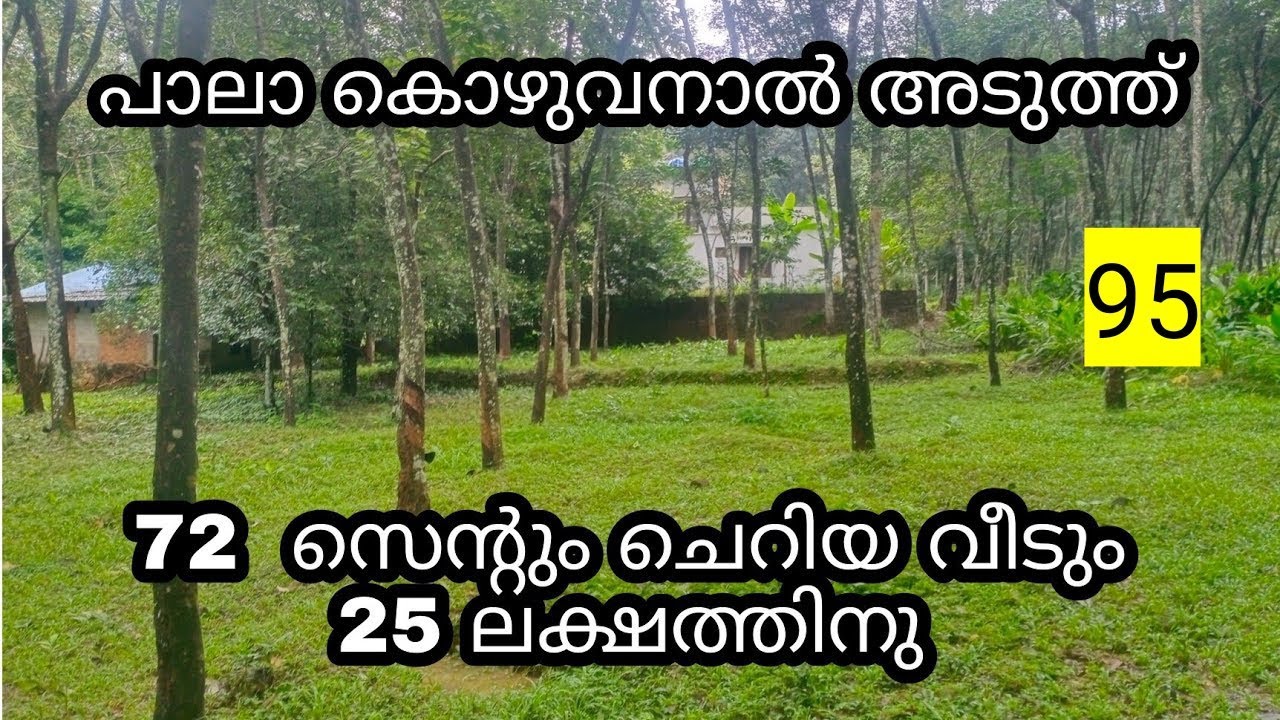 plot and house for sale in pala mevada kozhuvanal #plotforsale #landforsale #realestate #pala  95