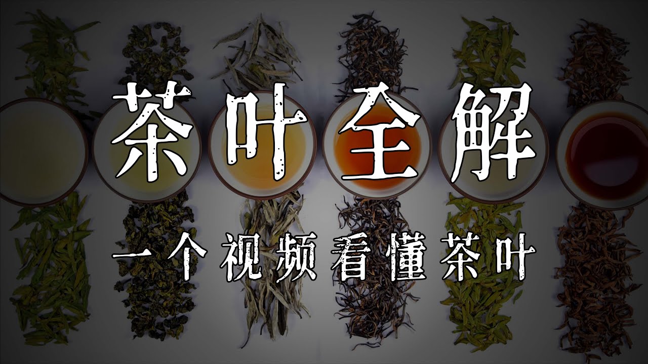 茶叶全解：不同茶有什么区别？我们到底在喝什么？为什么中国没有茶叶巨头？