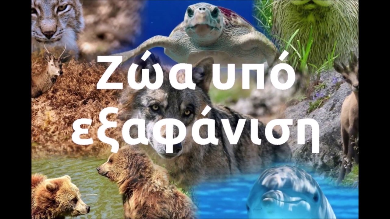 Ζώα Υπό Εξαφάνιση