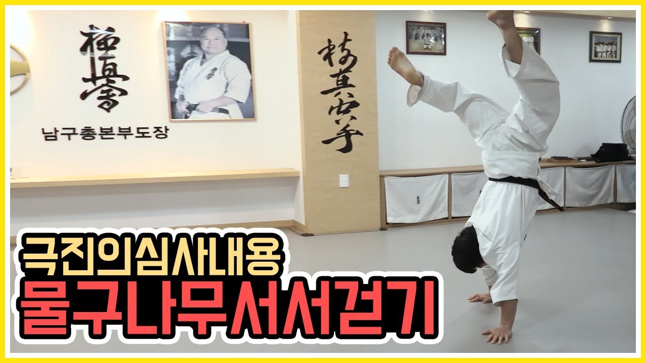 극진가라데 어깨힘을 기르기 위한 물구나무서서 걷기