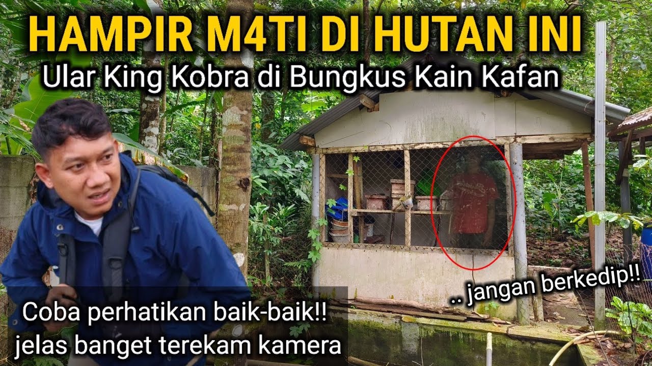10 TAHUN HILANG DI TENGAH HUTAN ANGKER BERTAHAN HIDUP SELAMA 100 HARI TIDUR DI BEKAS RUMAH KOSONG