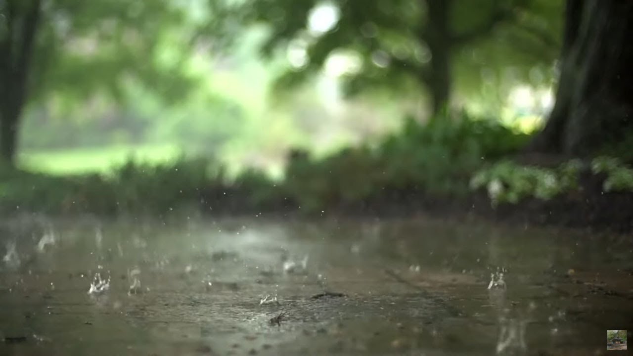 부드러운 빗소리 물소리 불면증 이명 귀울림 치료 백색소음 ASMR I Relaxing Rain Sounds & Water Sounds White Noise for Sleep