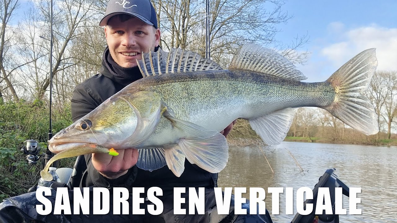 Sandres en verticale : les conseils d'Andy