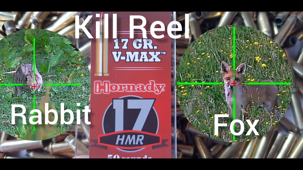 17HMR - Fox & Rabbit shooting out to 254yrds