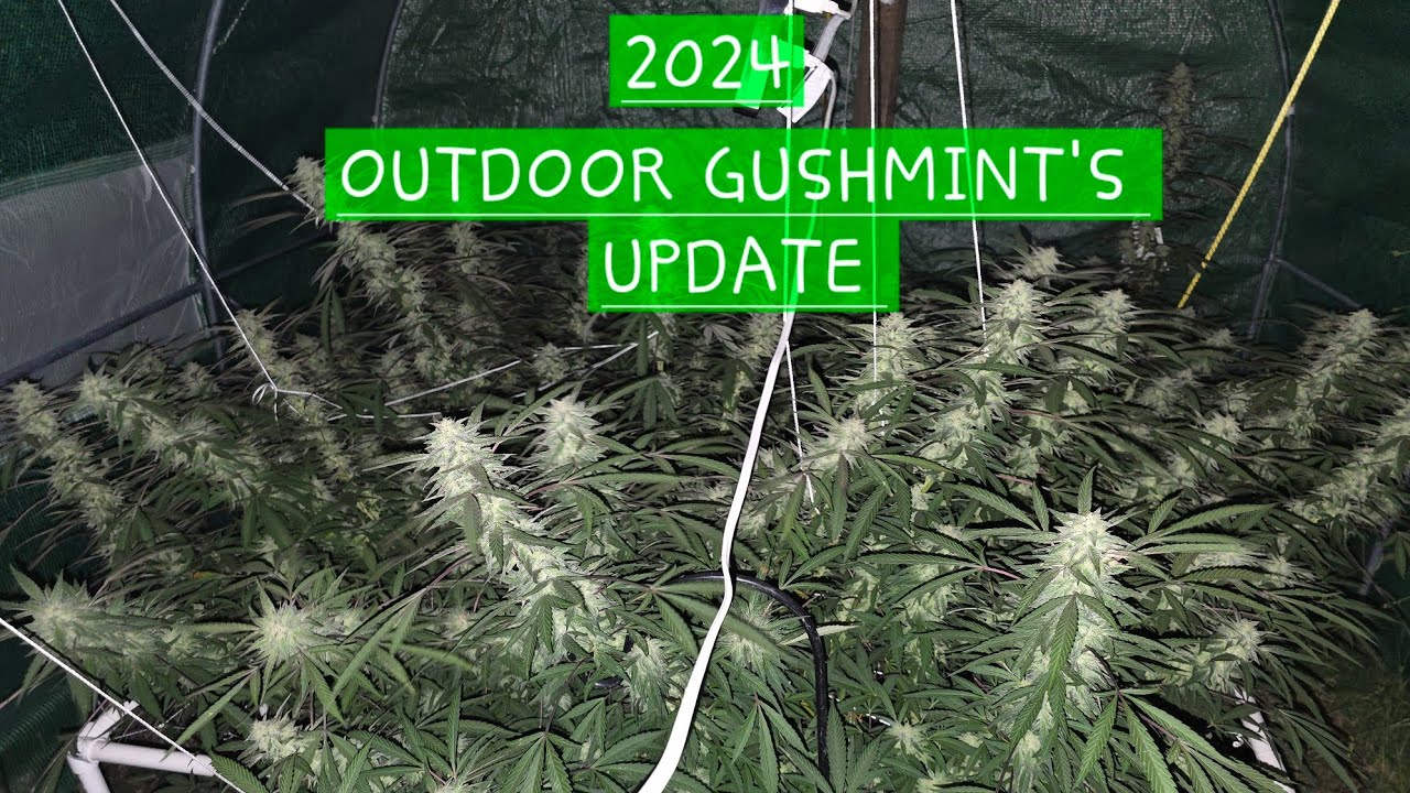 2024 outdoor update...nature's pride bloom and flower finisher nutrients