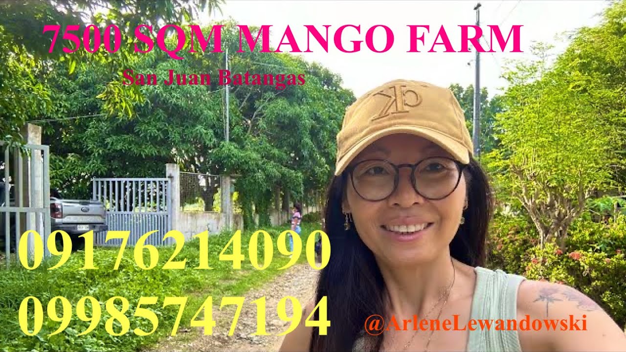 Vlog618: FOR SALE TITLED MANGO FARM WITH MOUNTAIN VIEW IN SAN JUAN BATANGAS PHILIPPINES