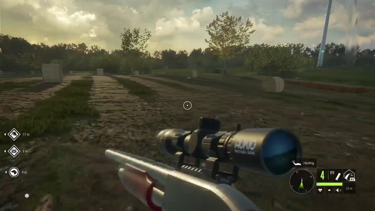 Hunting pheasant