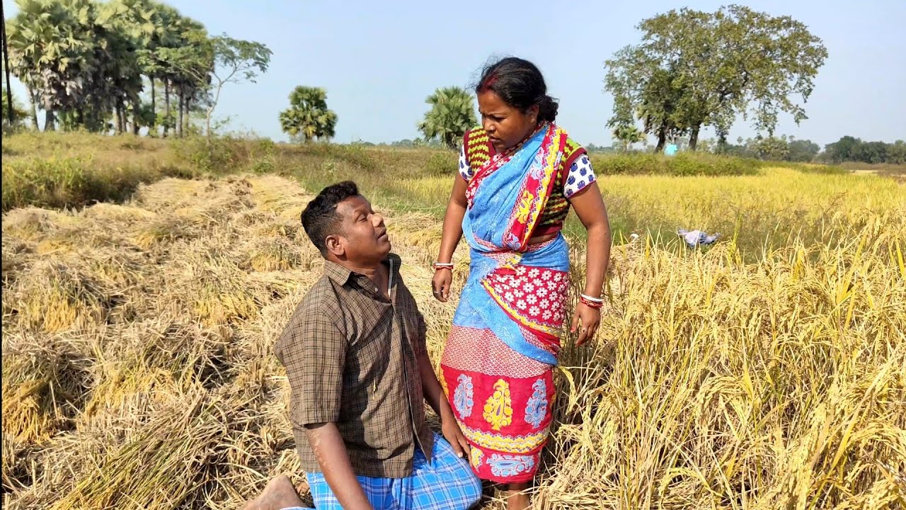 মাতালের ধান কাটা||PURULIA COMEDY VIDEO||পুরুলিয়া কমেডি ভিডিও||
