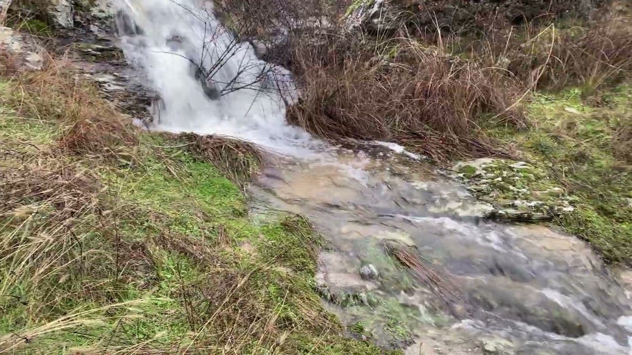 river fotini 2026