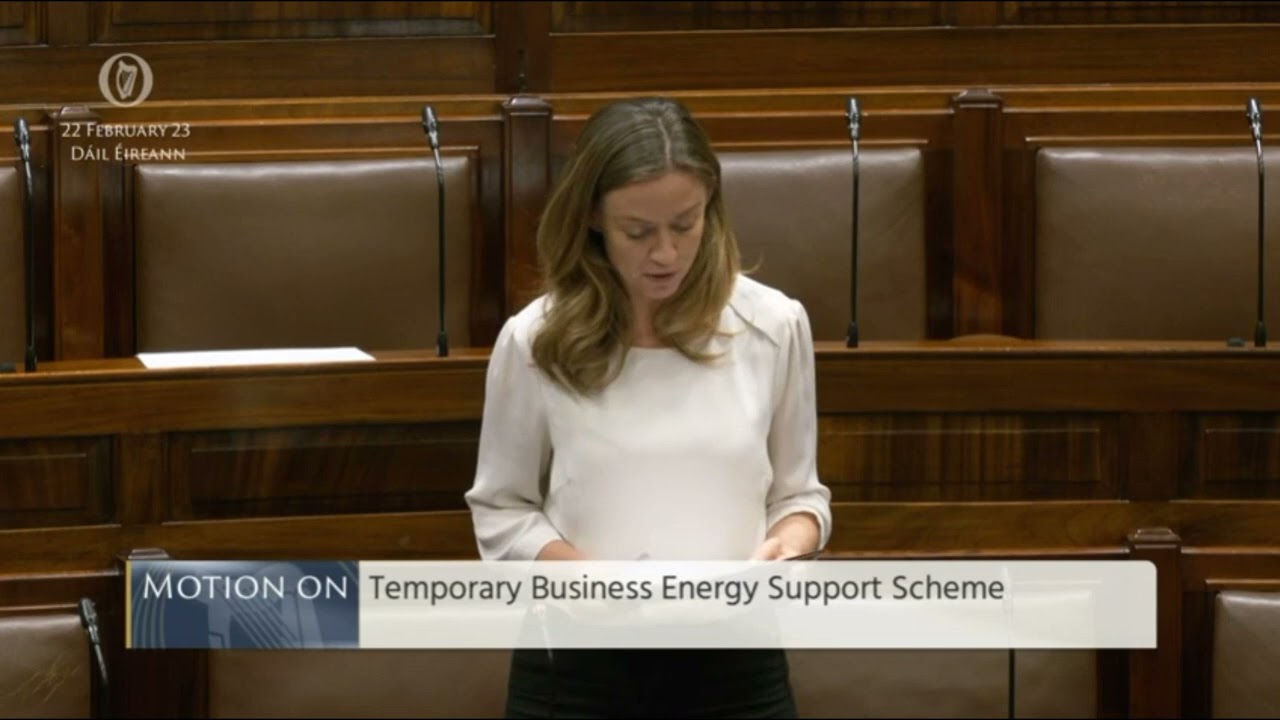 Temporary Business Energy Support Scheme