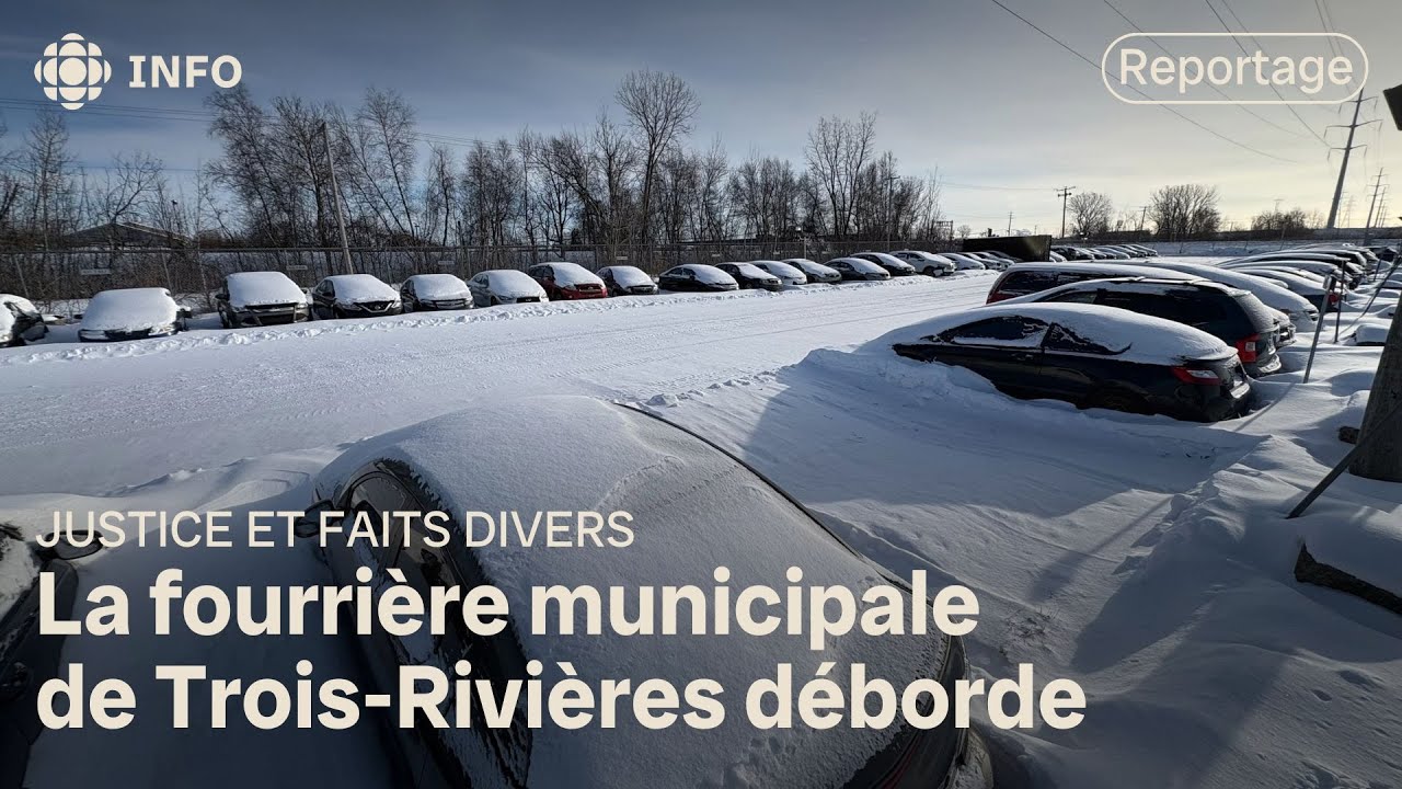 Trois-Rivi&egrave;res : la fourri&egrave;re municipale d&eacute;borde et doit d&eacute;m&eacute;nager &agrave; Cap-de-la-Madeleine
