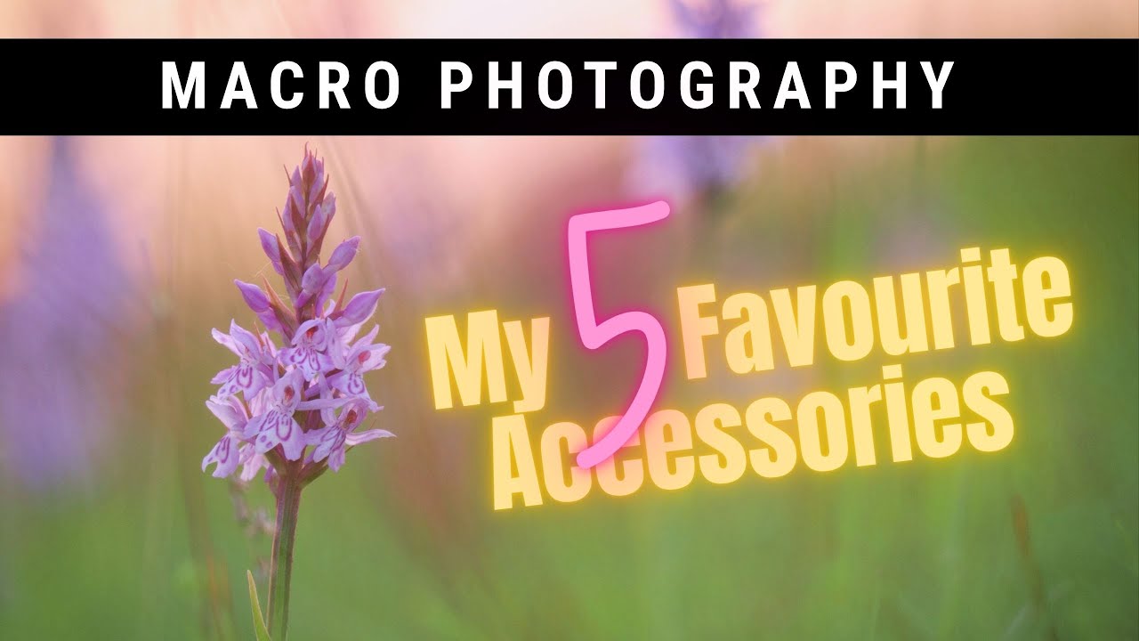My Five Favourite Macro Accessories