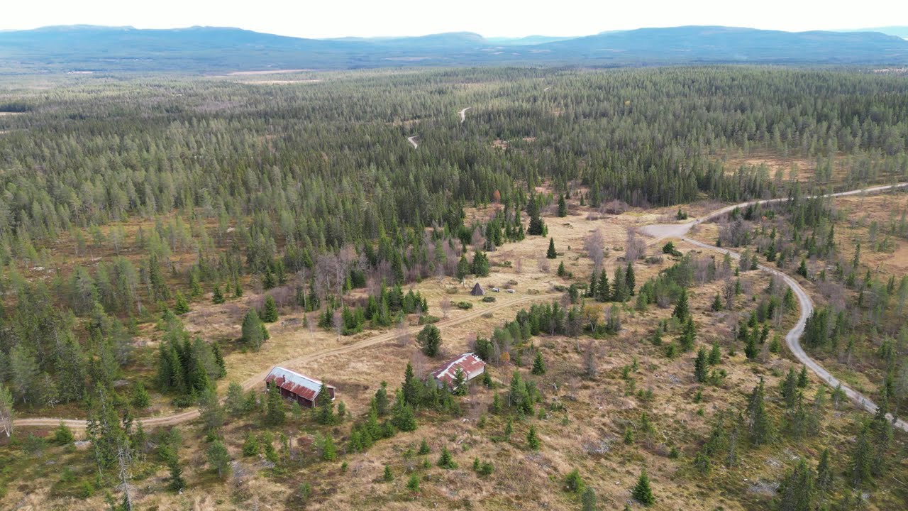 Furutangen - Rogn&aring;sen, lavo og myr
