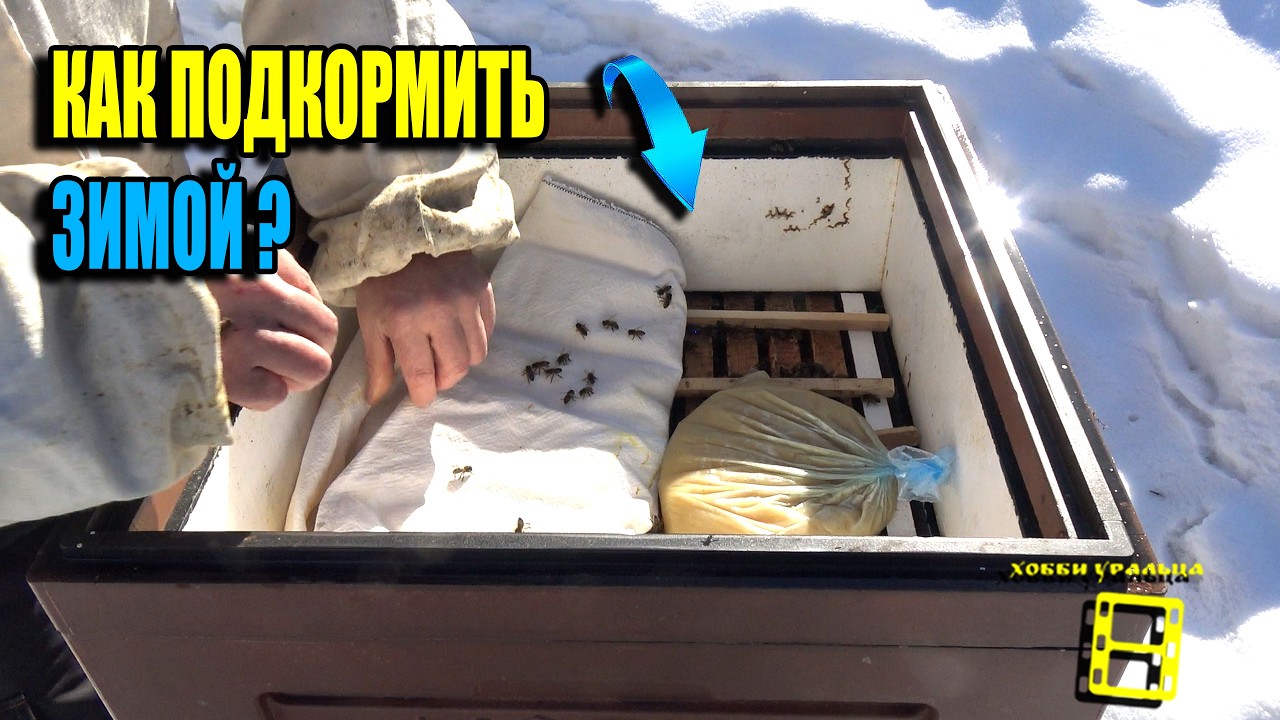 КАК ПОДКОРМИТЬ ПЧЕЛ ЗИМОЙ И РАННЕЙ ВЕСНОЙ? ПЧЕЛОВОДСТВО 26-04