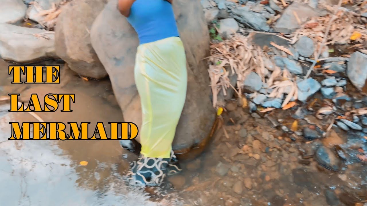 The Last Mermaid
