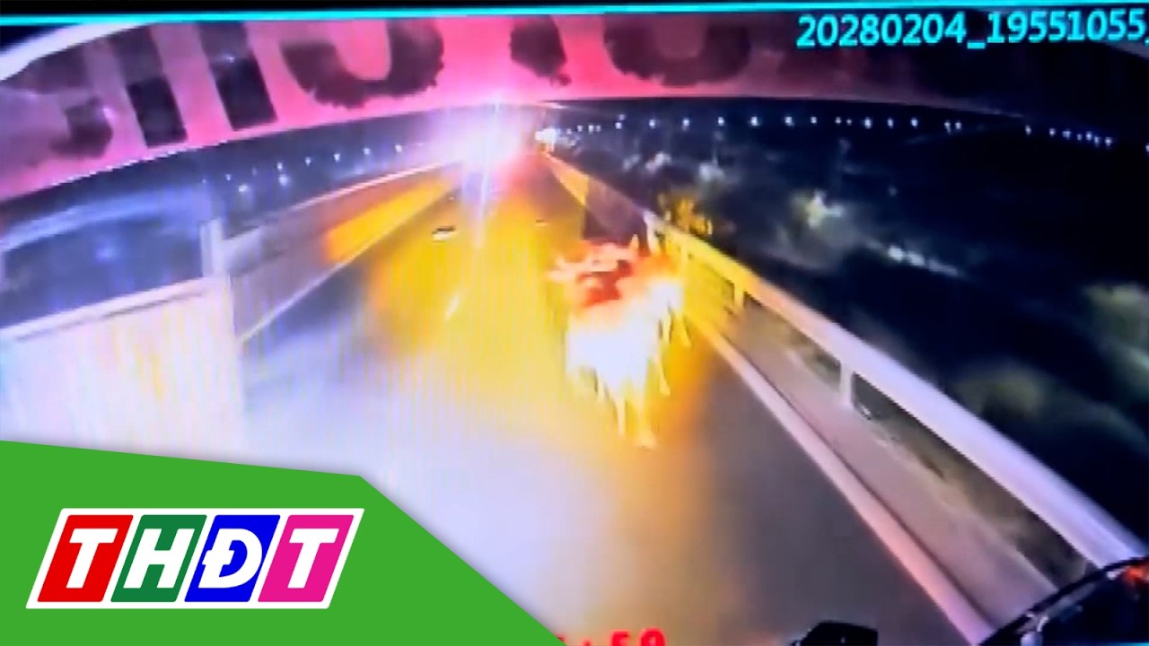 Đàn bò rơi từ xe tải gây va chạm giao thông trên cao tốc | THDT