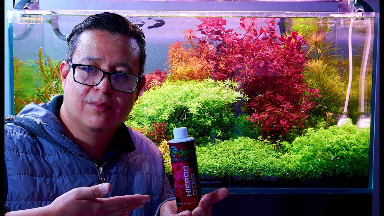 ASI VA EL HOLANDES CON EDEN AQUA PLANT SYSTEM