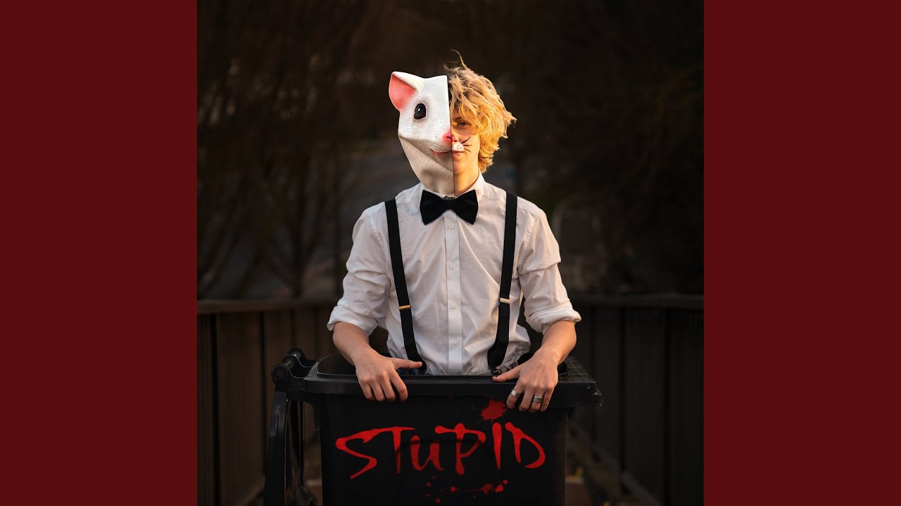 STUPID