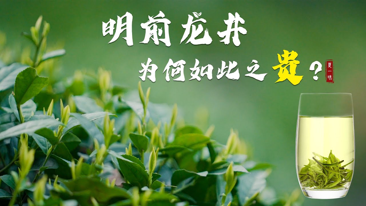 明前龙井，为何贵如金？为何明前龙井能卖4000元一斤？今天就带你探究一下它的制作过程