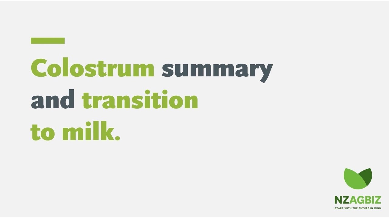 Colostrum summary and transition milk