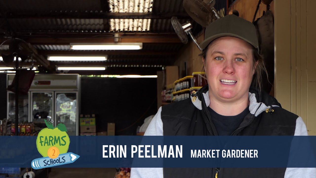 Paddock to Plate (secondary schools) | Farms2Schools