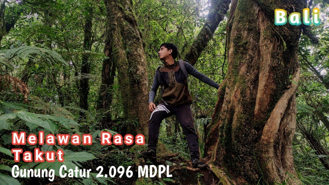 Gunung Catur Via bedugul ‼️Jalur Sunyi penuh Misteri 