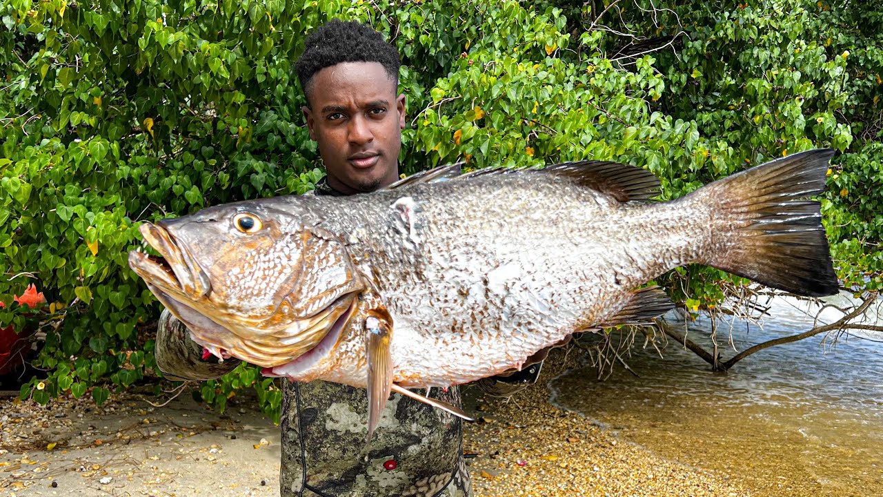 Giant HogFish & Snapper Catch, Clean And Cook
