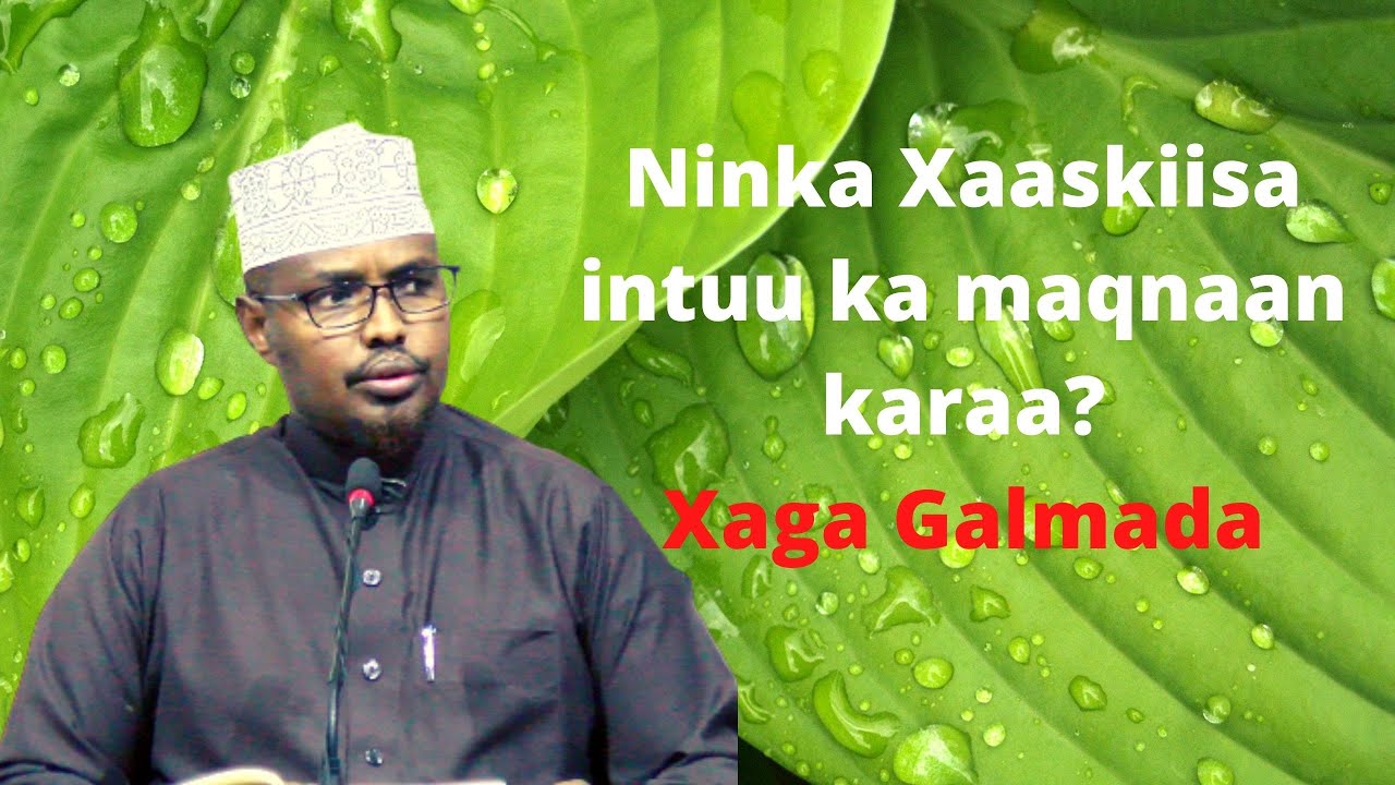 Ninka Xaaskiisa intuu ka maqnaankaraa? (Xaga Gogosha) Sh Xassaan