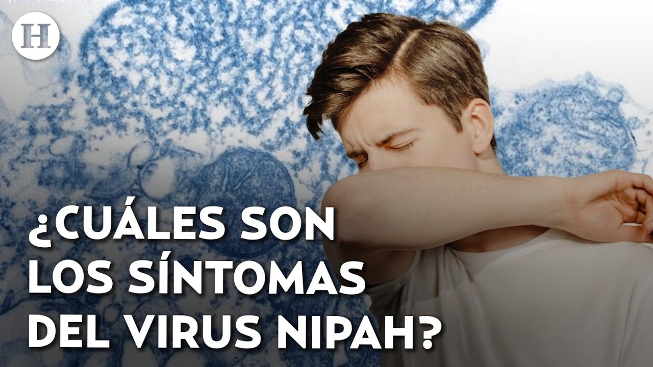 ¡Virus Nipah avanza sin control! Crecen caso en India; estas son las medidas que ha adoptado México