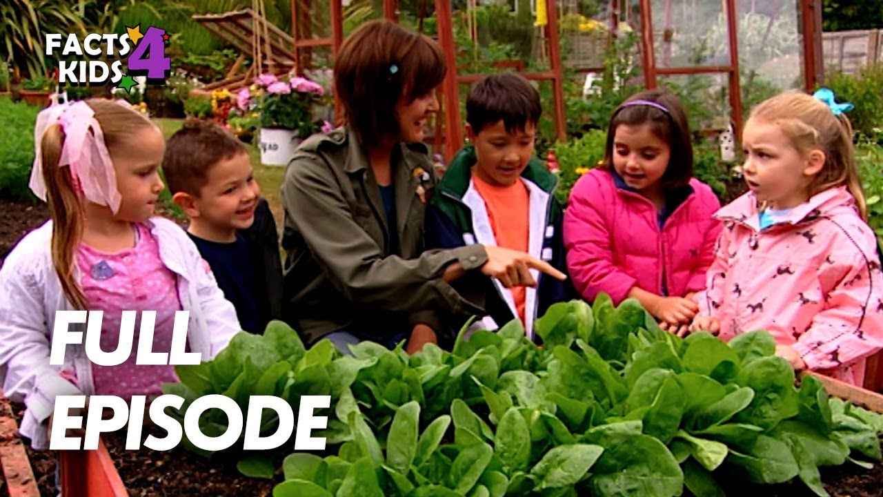 Cheese & Veggie Pasties! | I Can Cook | S01 EP21 | Full Episode | Facts4Kids