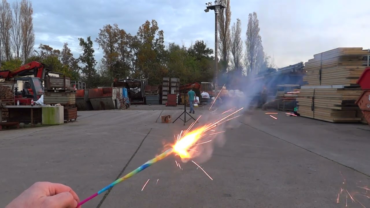 Lesli Mega Morning Glory am 29.10.2022