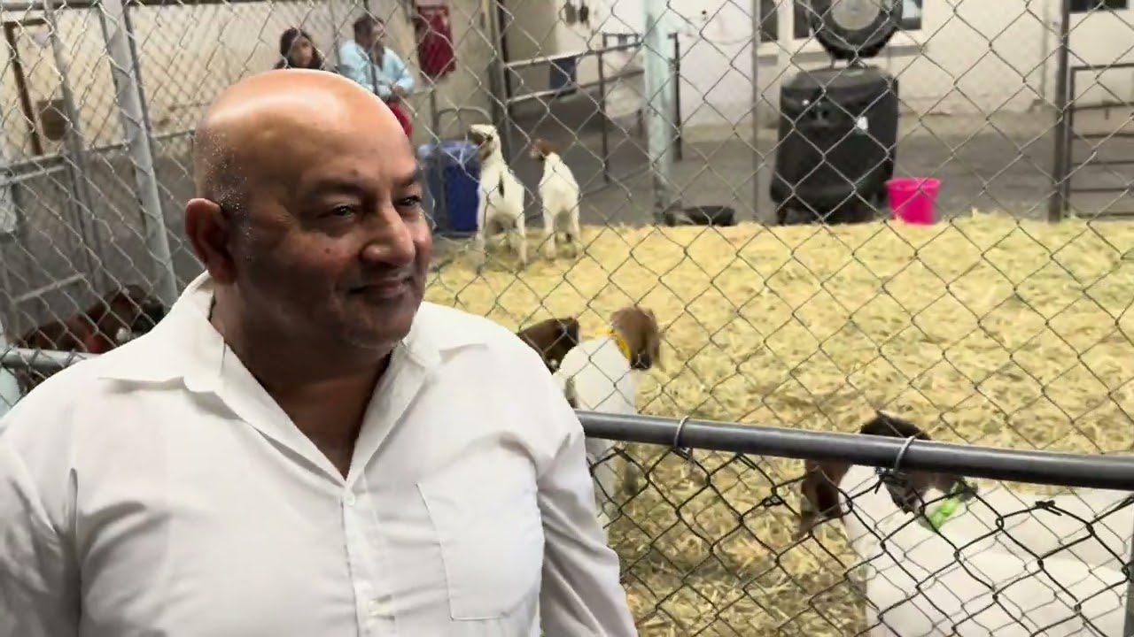 #82 The Big Fresno Fair