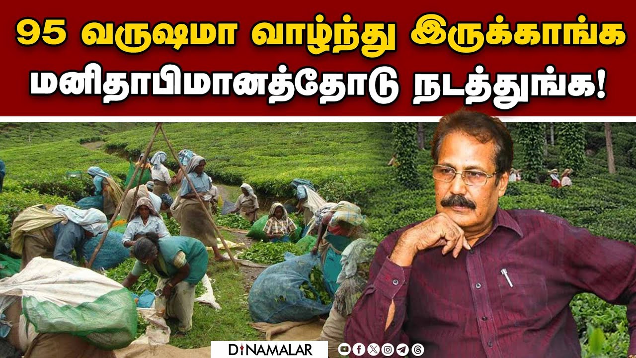 மாஞ்சோலை மக்களுக்கு என்ன வழி? ஐகோர்ட் கிடுக்கிபிடி | Manjolai  | High Court