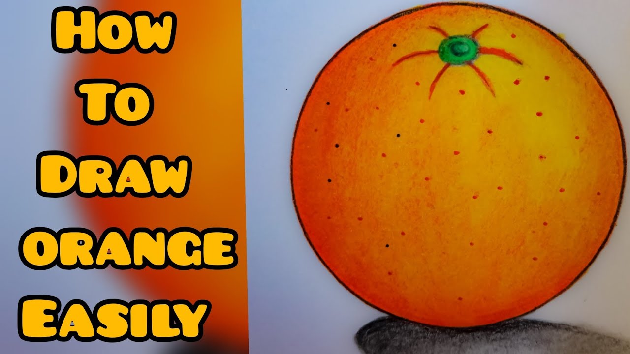 How to draw an orange step by step (very easy)