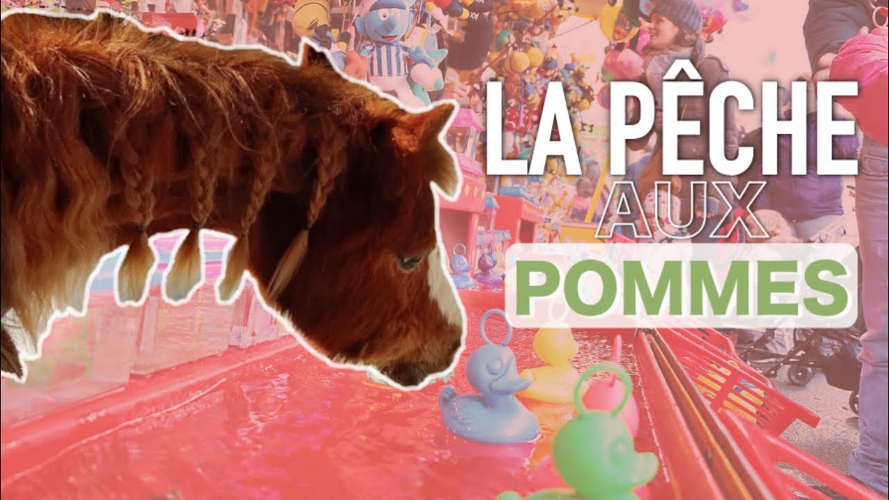 UNE FÊTE FORAINE PRIVÉE POUR MES PONEYS ? (Je sais plus quoi donner comme titre à mes vlogs) | VLOG