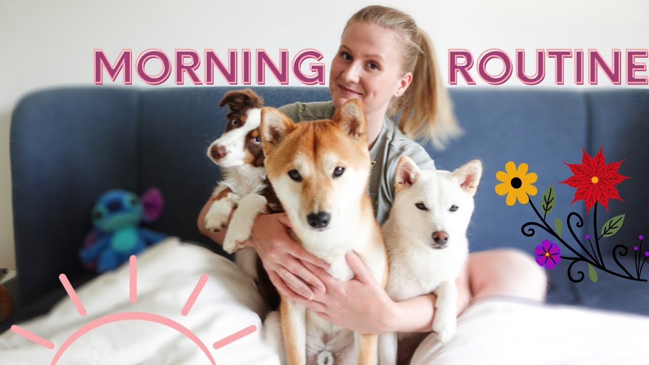 MA MORNING ROUTINE AVEC 3 CHIENS 🐶☀️
