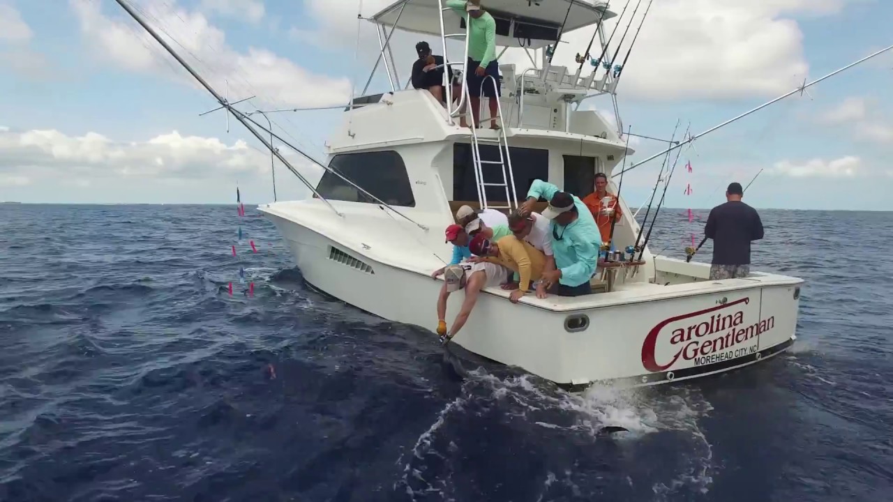 Traveling the Islands, fishing, drinkin, and enjoying life