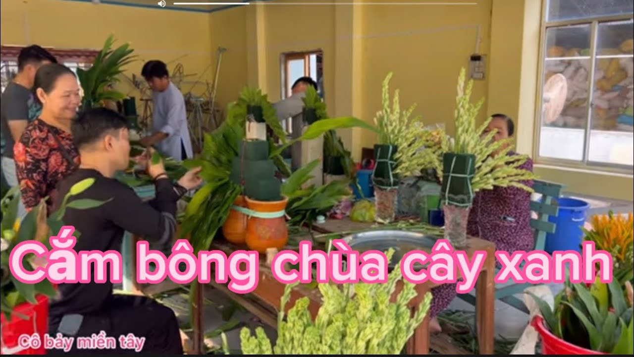 PGHH ngày 28 cắm bông chuẩn bị 29-30 cúng phật chùa cây xanh