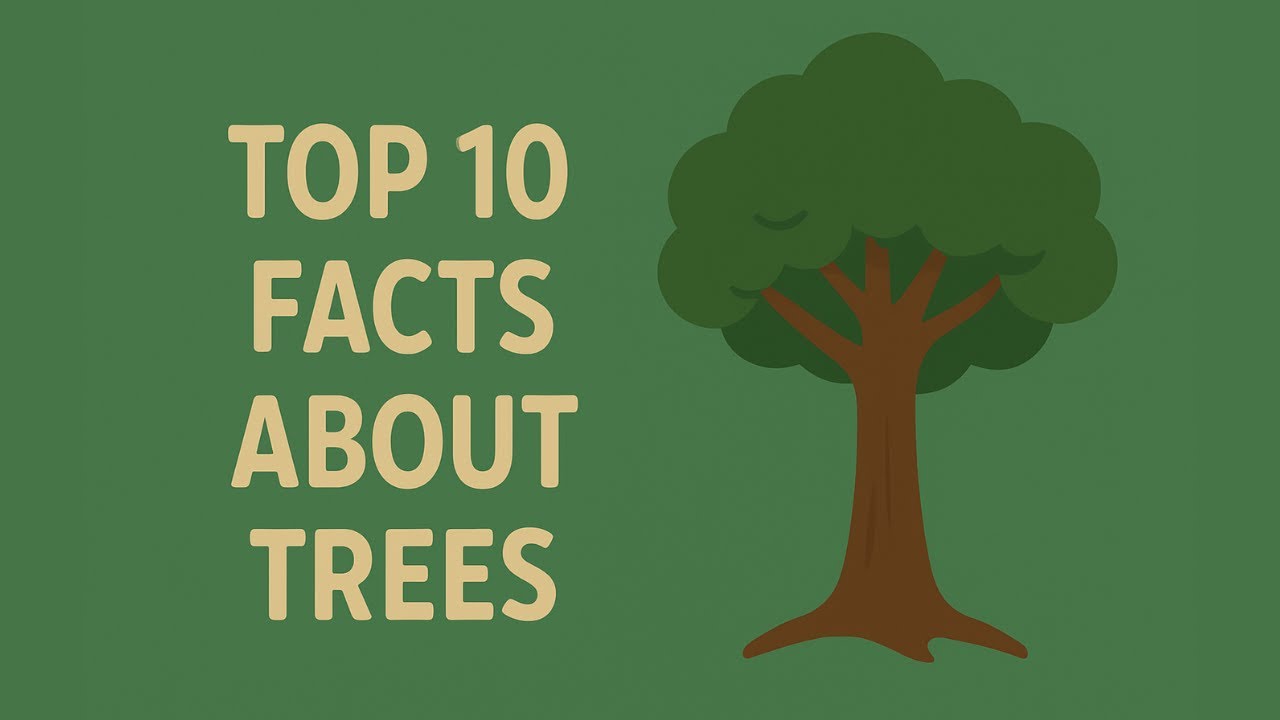 Top 10 Tree Facts That&rsquo;ll Blow Your Mind! 🌳