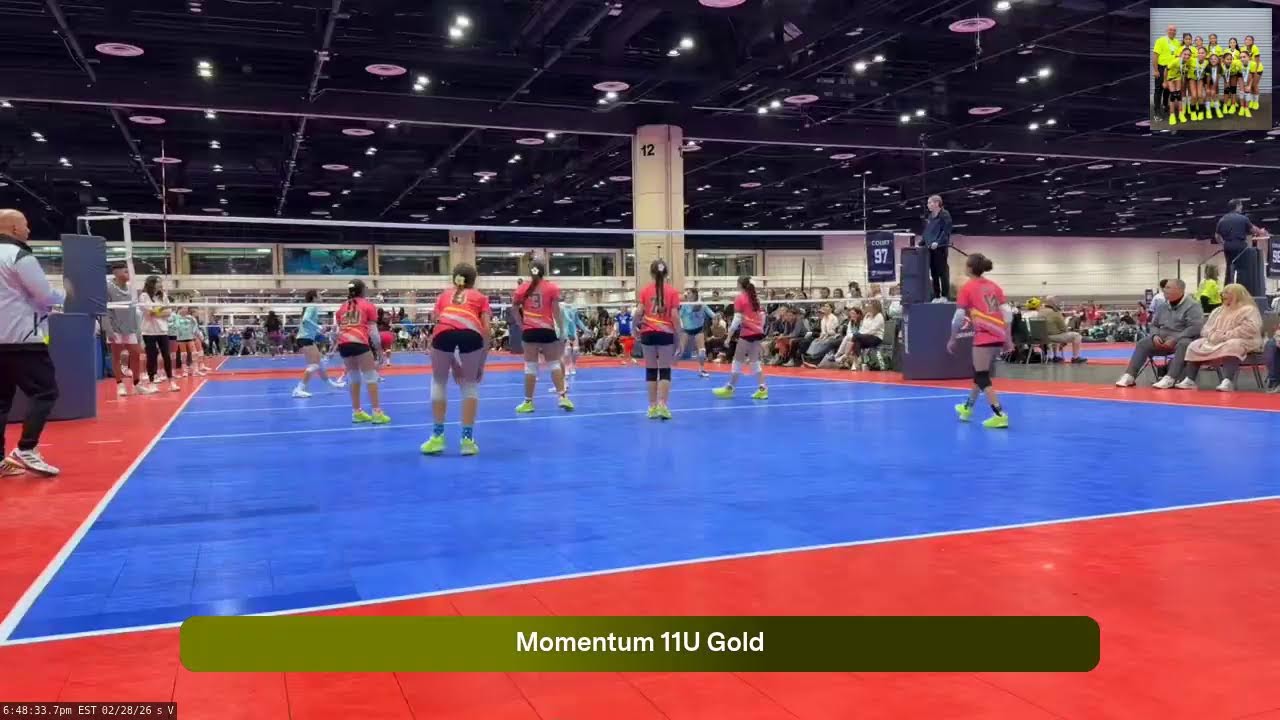 Momentum 11U Gold (2026.02.28)