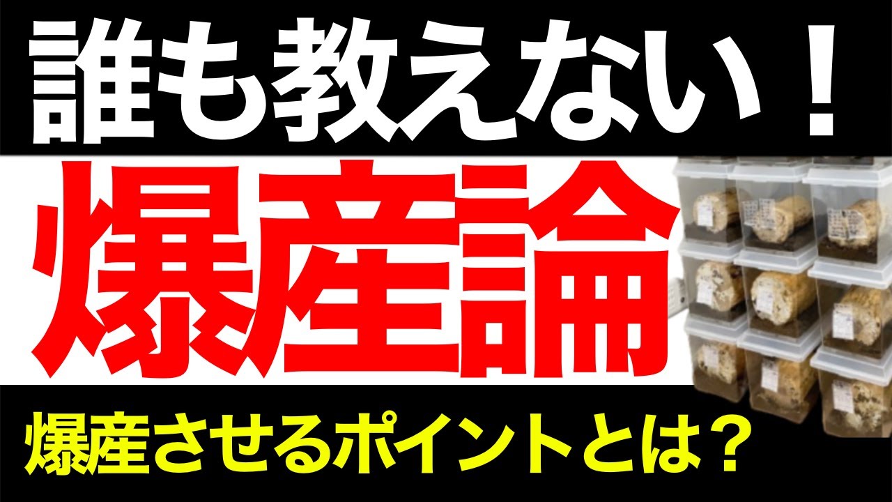 2024年！最新の爆産セットと爆産させるための３つのポイント！
