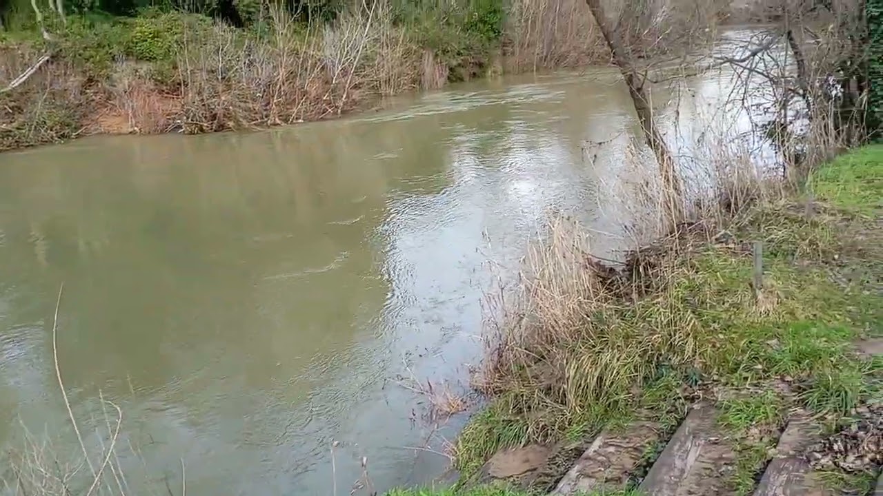 Au bord de l'argens parc aventure Vidauban