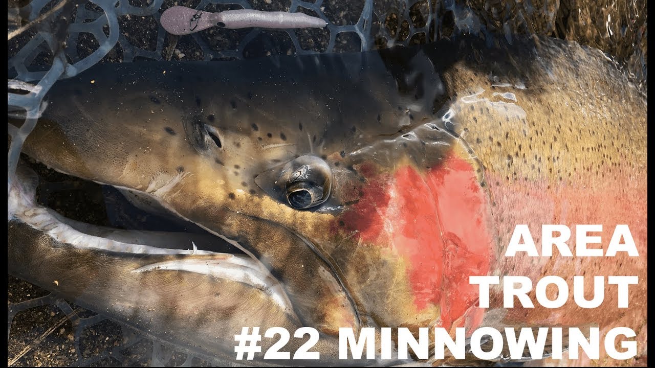 【サンペイフィッシングⅢ】Area Trout Minnowing #22【管理釣り場でミノーだけ】