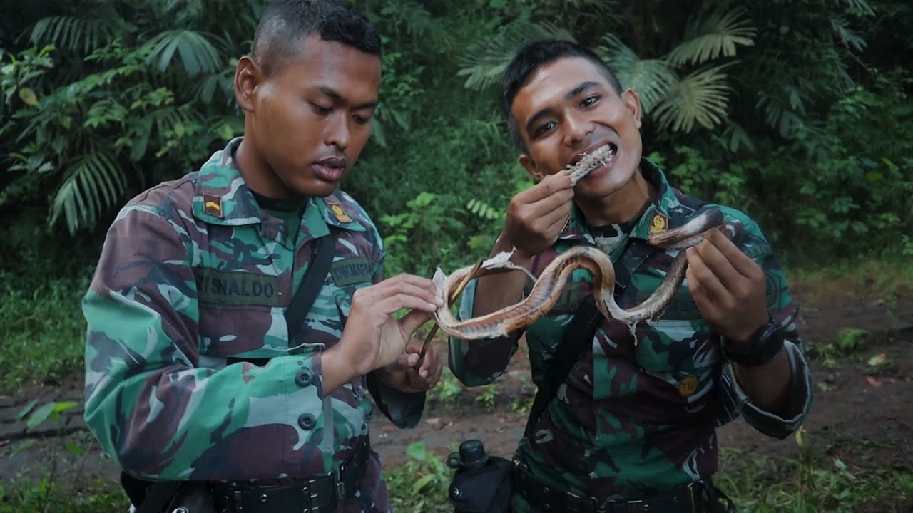 PROFIL SEPA PK TNI