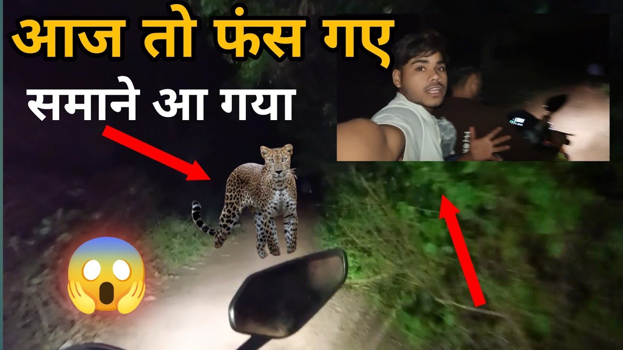 Guna Forest: खौफनाक मंजर! 🐯 तेंदुए ने रास्ता रोक लिया | Ajay Vlogs