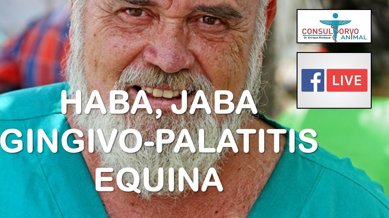 HABA, JABA, GINGIVO-PALATITIS EQUINA