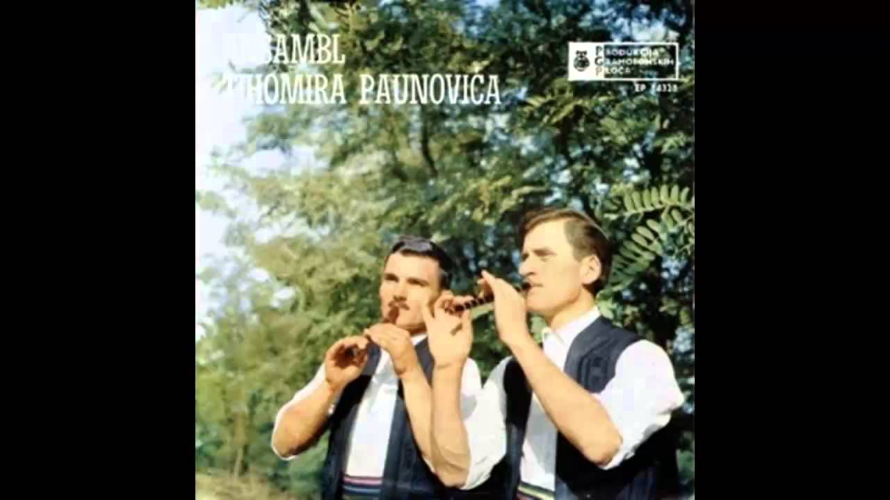 Tihomir Paunovic - Ljubicevsko kolo - (Audio 1966) HD