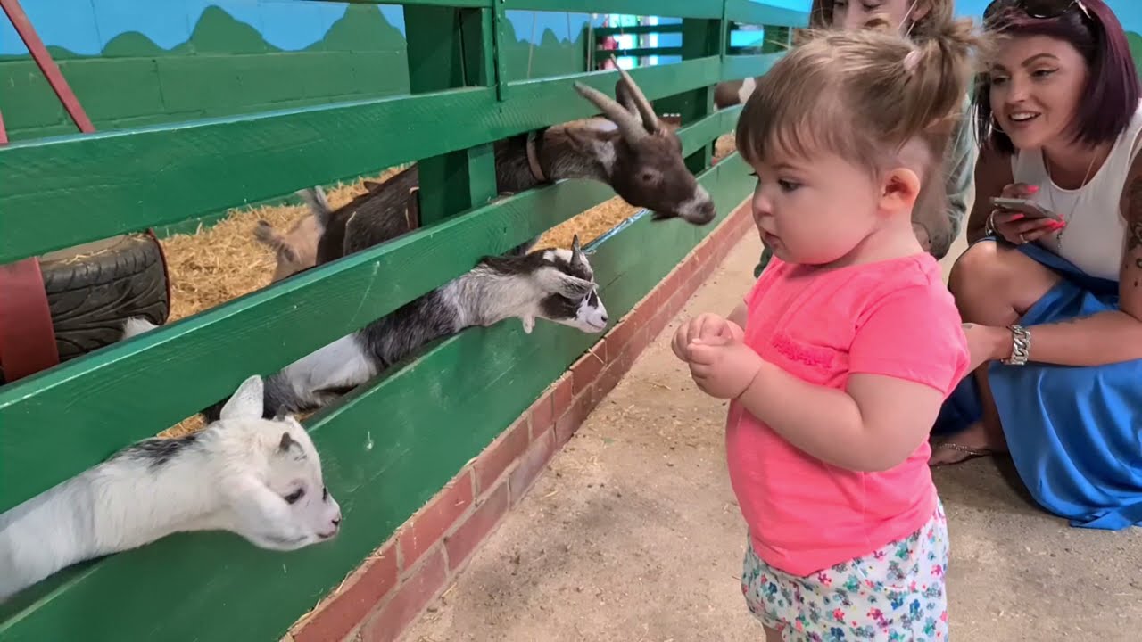 Kid Talks To Kid