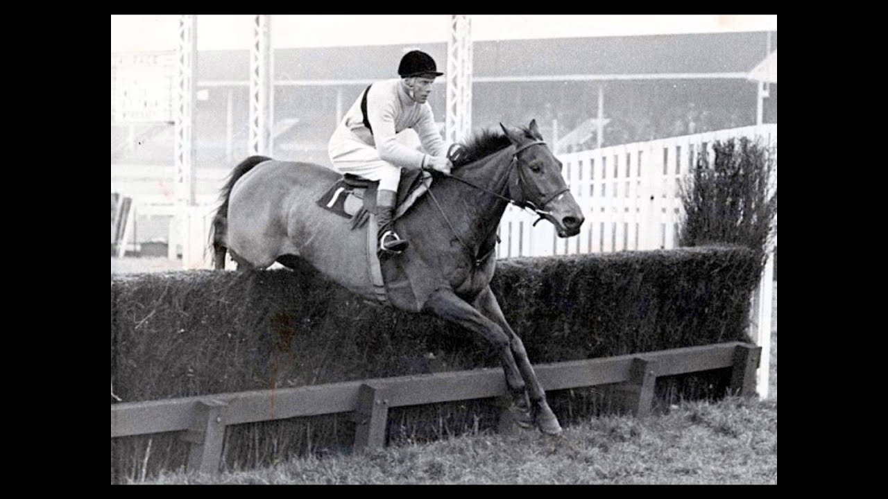 Dominic Behan     Arkle